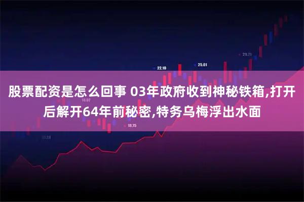 股票配资是怎么回事 03年政府收到神秘铁箱,打开后解开64年前秘密,特务乌梅浮出水面